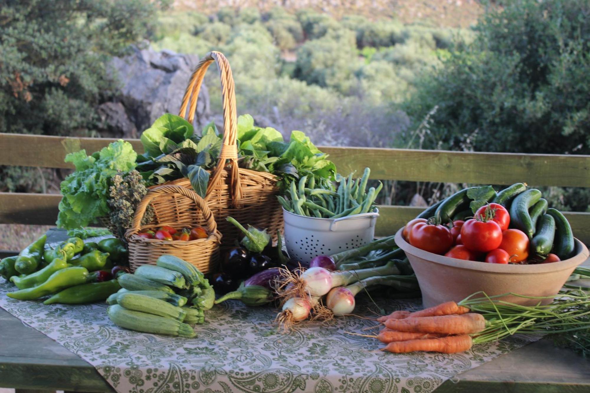 Agrotourism Traditional Apostoli