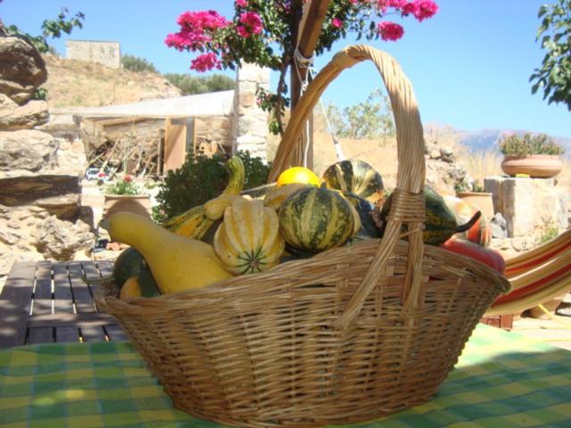 Agrotourism Traditional *