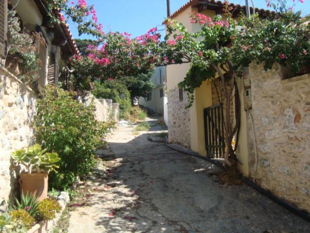 Agrotourism Traditional Apartment Apostoli