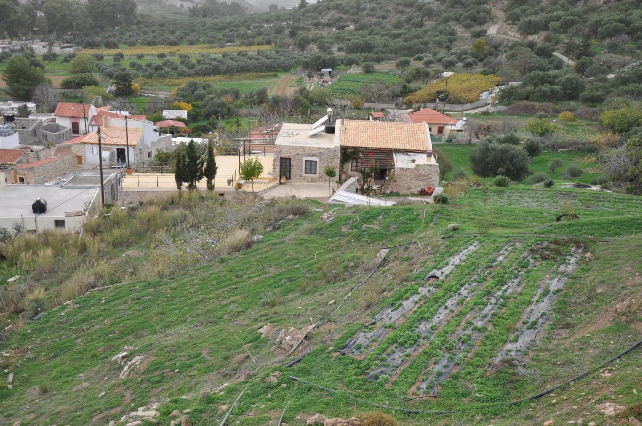 Apartment Agrotourism Traditional *