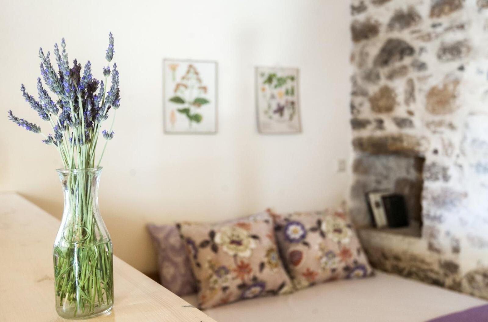Apartment Agrotourism Traditional *